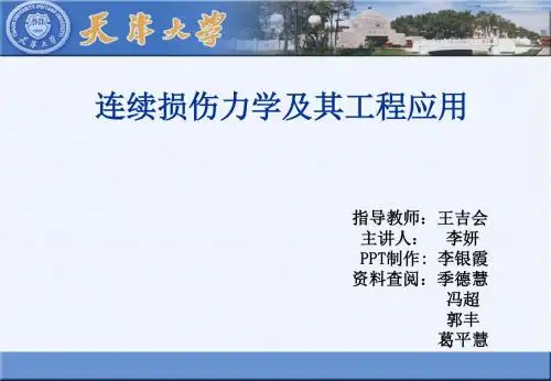 连续损伤力学报告