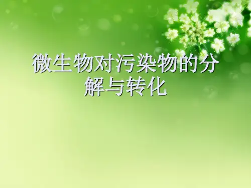 微生物对污染物的分解与转化
