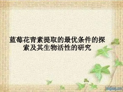 蓝莓花青素提取的