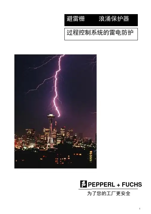 浪涌保护(1)