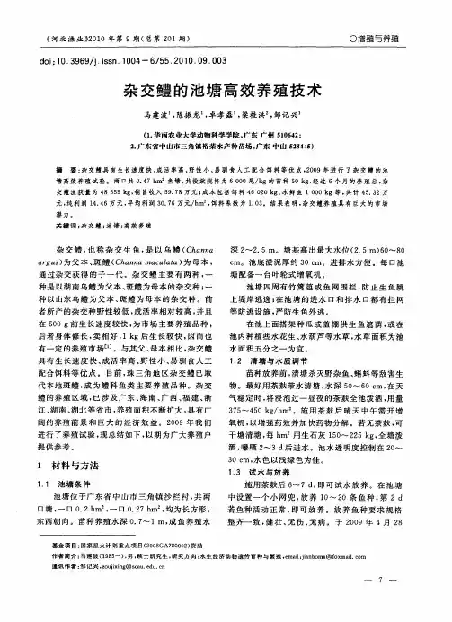 杂交鳢的池塘高效养殖技术 2