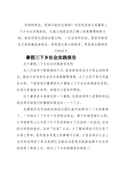 暑假三下乡社会实践报告