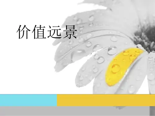 价值与远景