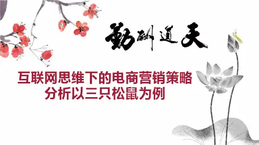 互联网思维下的电商营销策略分析以三只松鼠为例