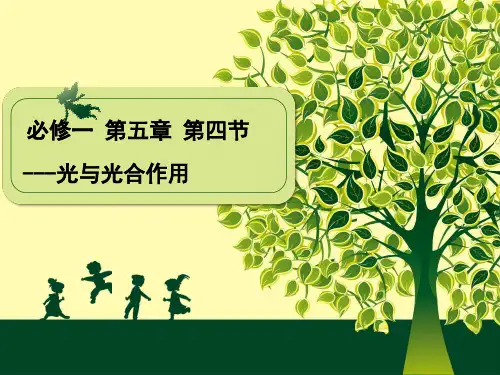 人教版高中生物必修一-能量之源—光与光合作用-ppt精品课件