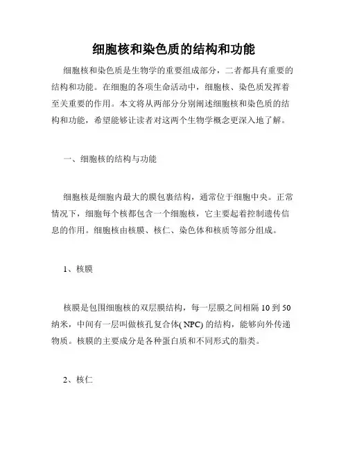 细胞核和染色质的结构和功能