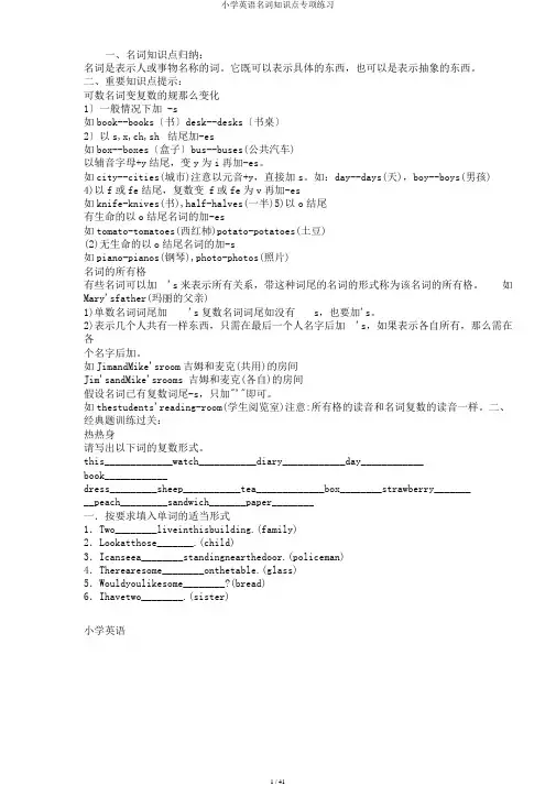 小学英语名词知识点专项练习