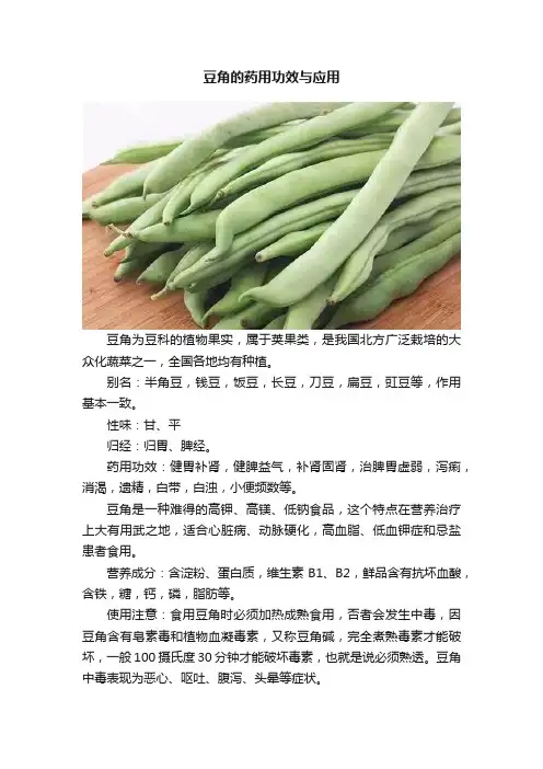 豆角的药用功效与应用