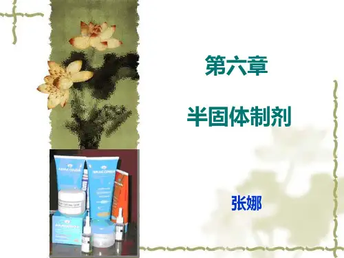 乳膏剂凝胶剂(2024版)