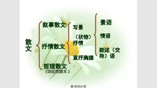 散文知识点归纳清晰PPT课件