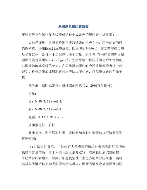 尿胆原及尿胆素检查
