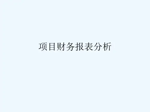 投资项目分析报表-PPT