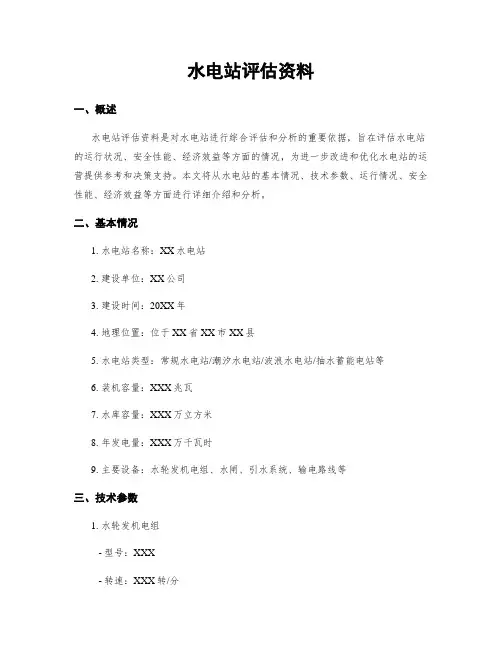 水电站评估资料