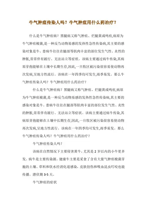 牛气肿疽传染人吗？牛气肿疽用什么药治疗？