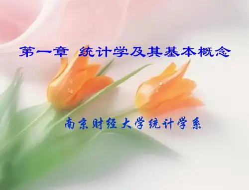 统计学第一章统计学极其基本概念