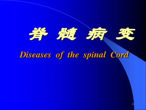 神经病学PPT课件：脊髓病变