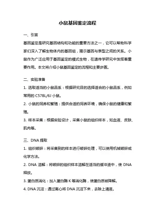 小鼠基因鉴定流程