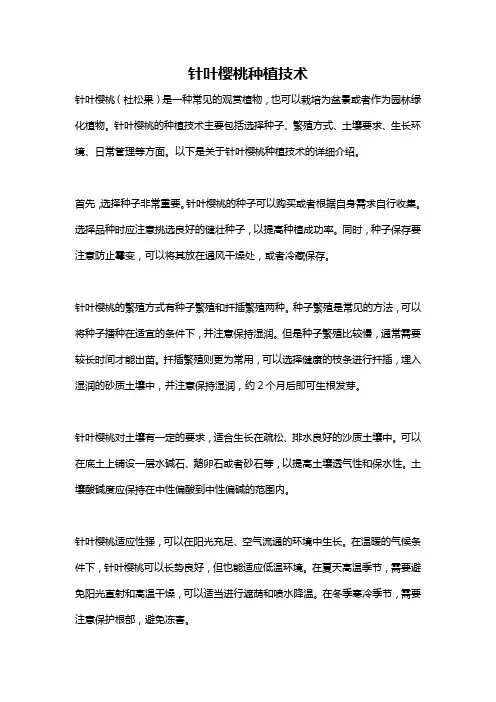 针叶樱桃种植技术
