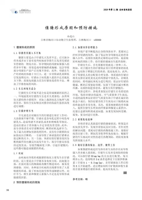 僵猪形成原因和预防措施