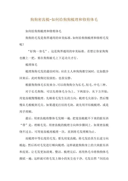 狗狗密齿梳-如何给狗狗梳理和修剪体毛