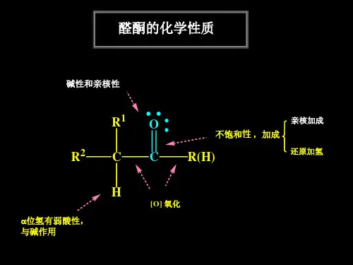 第十章 醛酮3——复旦大学有机化学课件