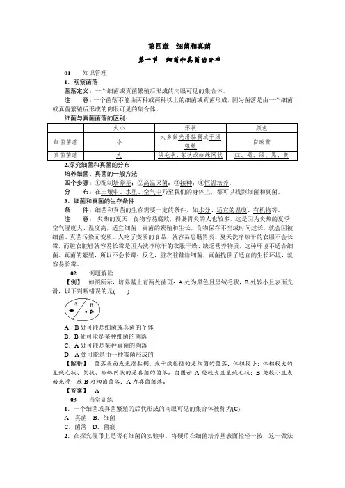 新人教版生物八年级上册-知识讲解 细菌和真菌的分布
