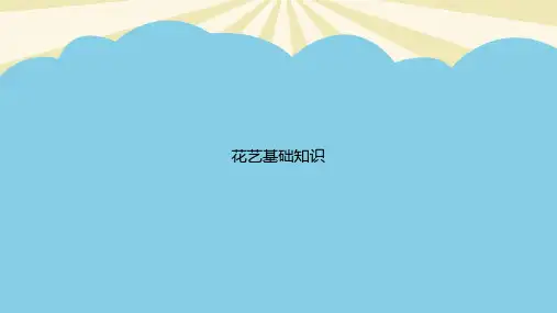 花艺基础知识优质PPT资料