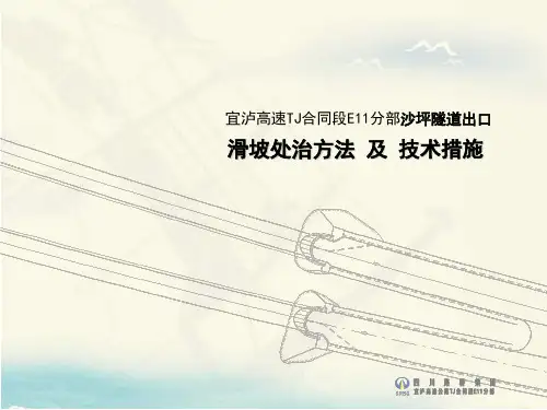 高速公路隧道洞口滑坡处置方法及技术措施