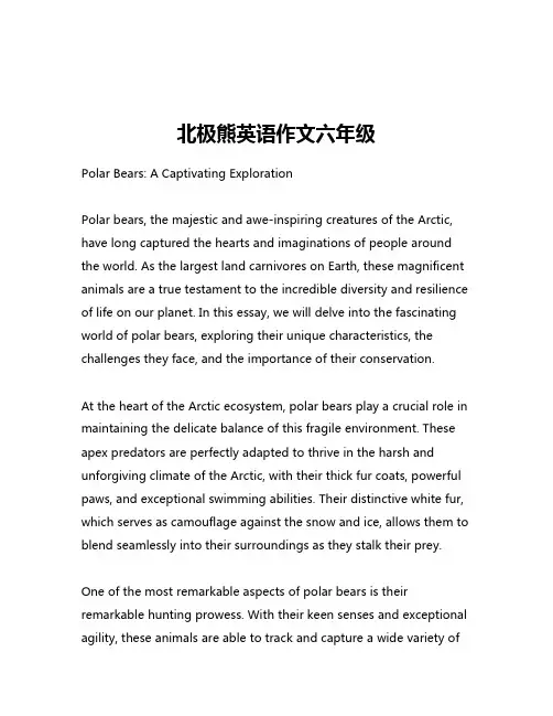 北极熊英语作文六年级