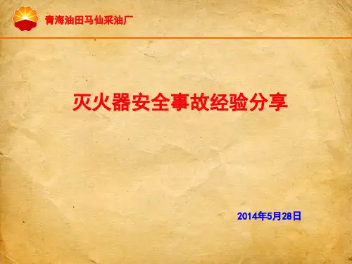 灭火器案例分析.