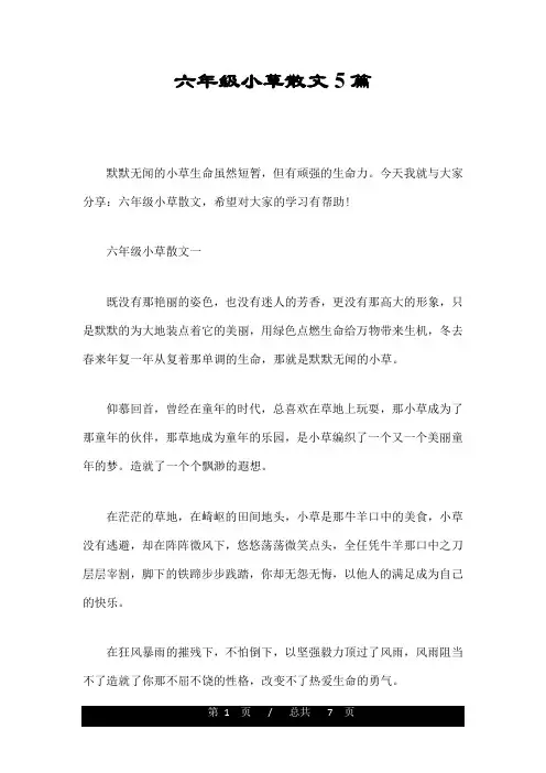 六年级小草散文5篇