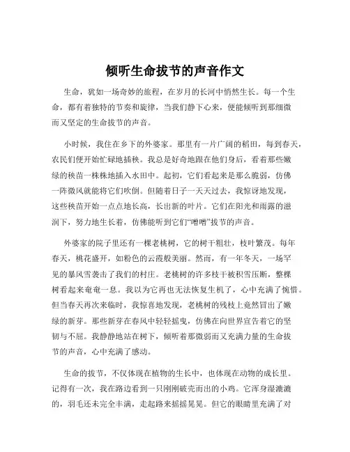 倾听生命拔节的声音作文
