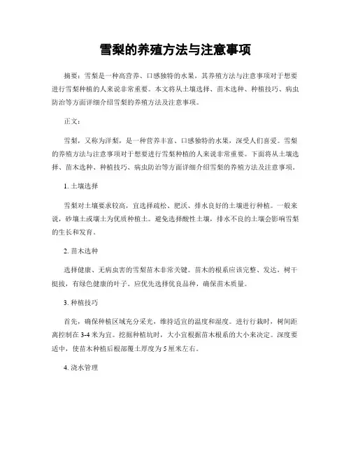 雪梨的养殖方法与注意事项