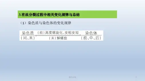 【学习方案】2020高考生物二轮复习第5章细胞的生命历程课件_1_16-20