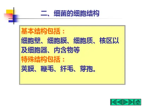 《细菌细胞结构》PPT课件