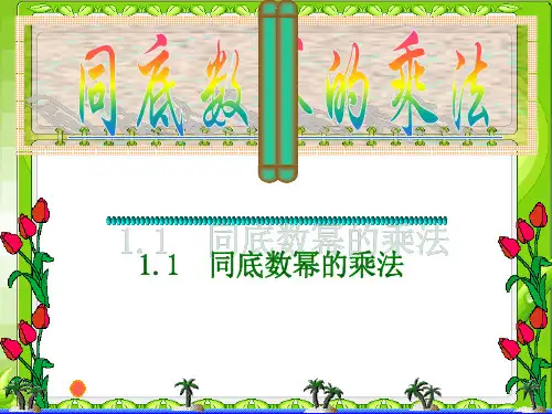 北师大版数学七年级下册课件：1.1同底数幂的乘法