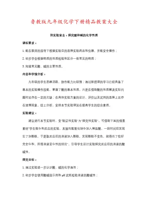 鲁教版九年级化学下册精品教案大全