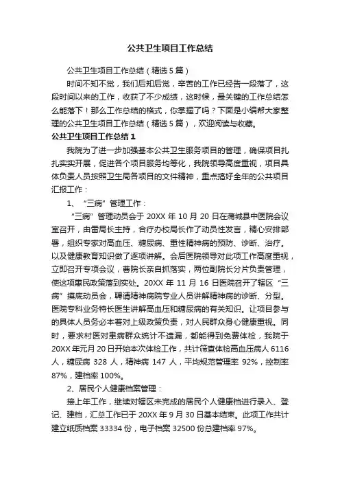 公共卫生项目工作总结（精选5篇）