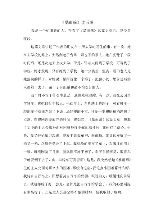 暴雨筛