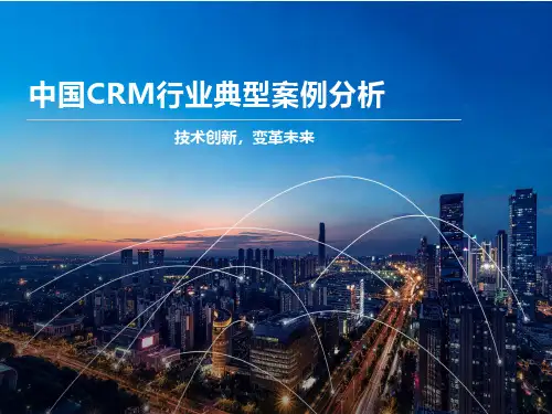 中国CRM行业典型案例分析
