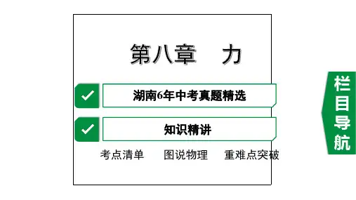 2020年湖南中考物理考点复习第八章 力