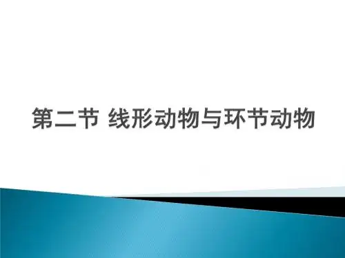 人教版八年级生物上册第一章第二节 线形动物和环节动物 课件 (共40张PPT)