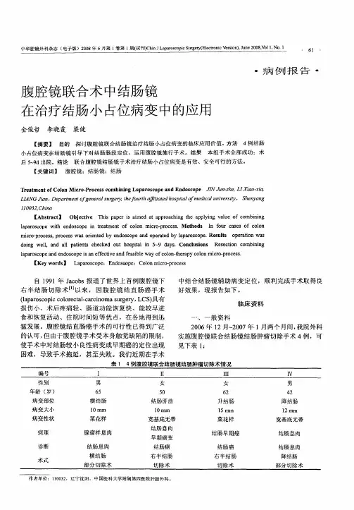 腹腔镜联合术中结肠镜在治疗结肠小占位病变中的应用