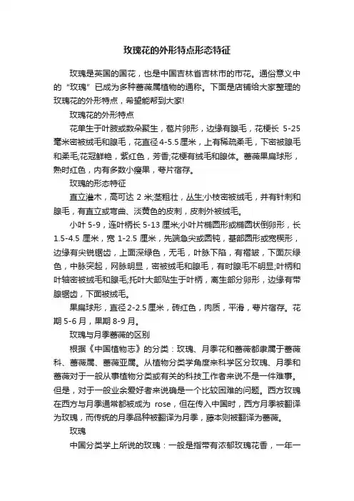 玫瑰花的外形特点形态特征