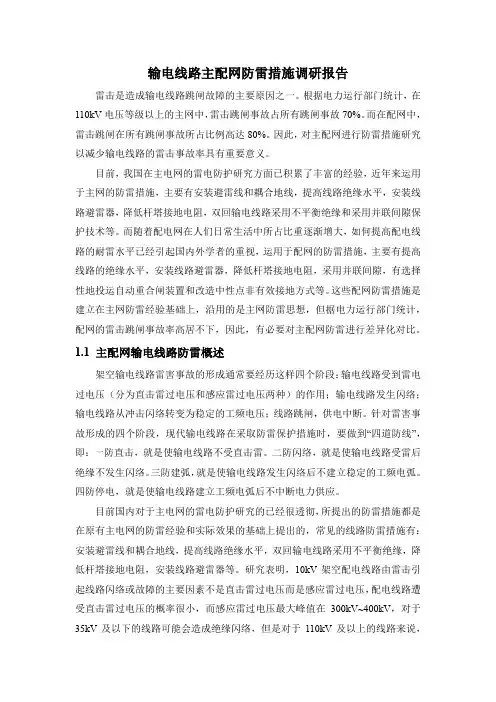 输电线路主配网防雷措施调研报告