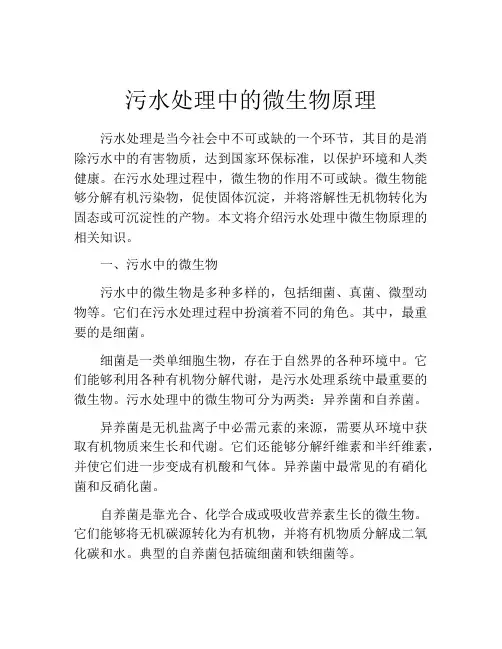 污水处理中的微生物原理