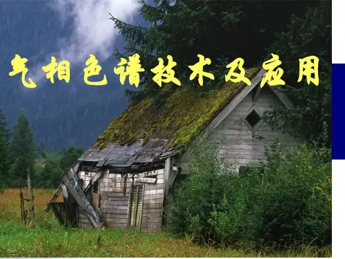 气相色谱技术及应用