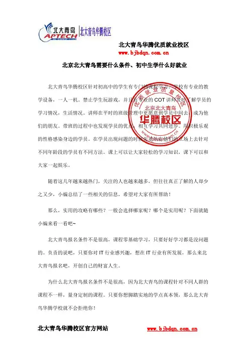北京北大青鸟需要什么条件、初中生学什么好就业