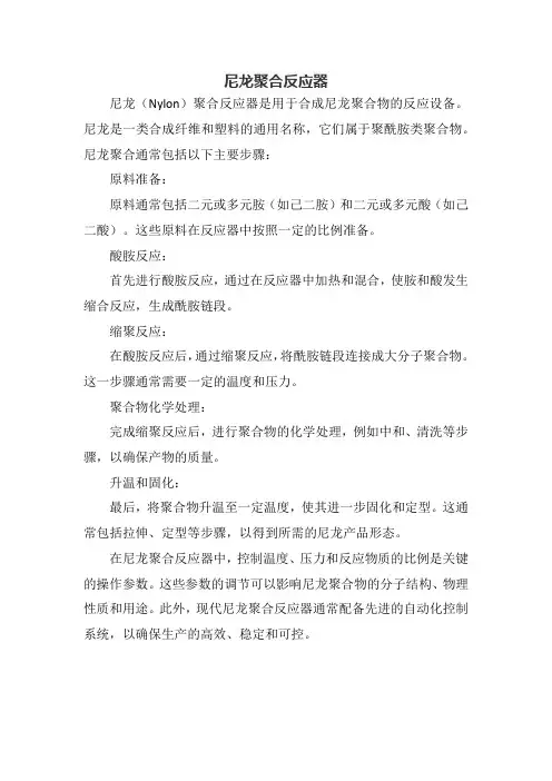 尼龙聚合反应器