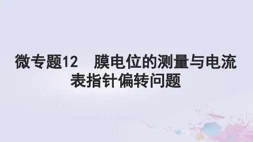 高考生物一轮总复习选择性必修1第八单元稳态与调节微专题12膜电位的测量与电流表指针偏转问题